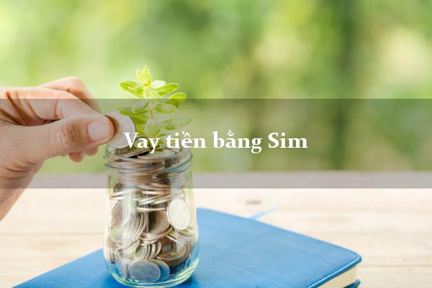 Vay tiền bằng Sim là như thế nào?